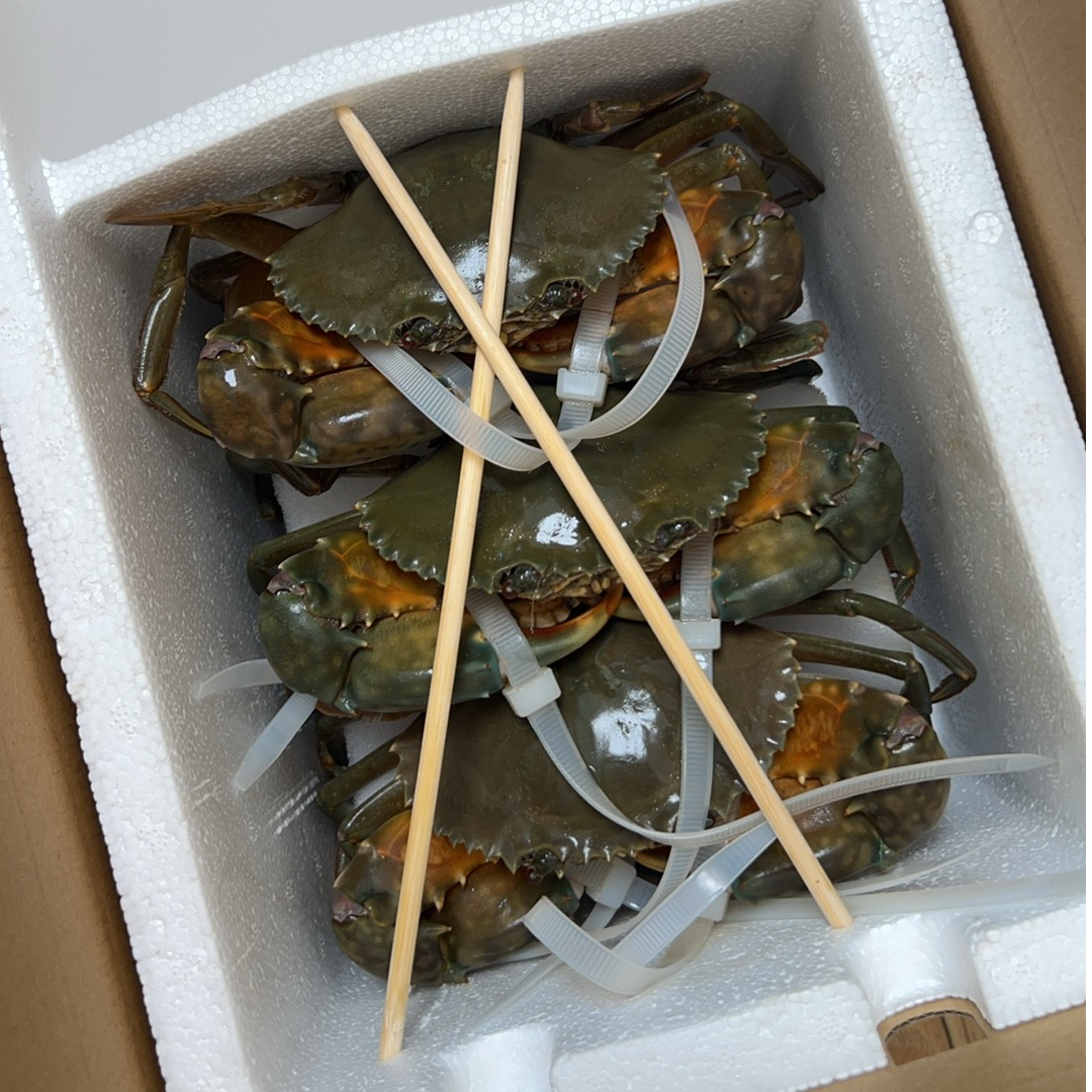 青蟹礼盒6只装  3只母膏 3只大公蟹 中秋蟹礼