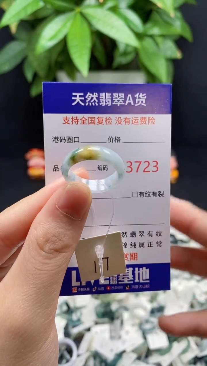 翡翠戒指未镶嵌天然翡翠戒圈3723