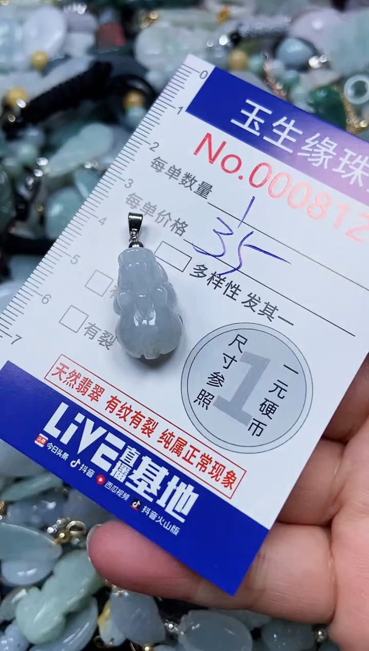 【闪购商品】翡翠颈饰未镶嵌闪购00008128