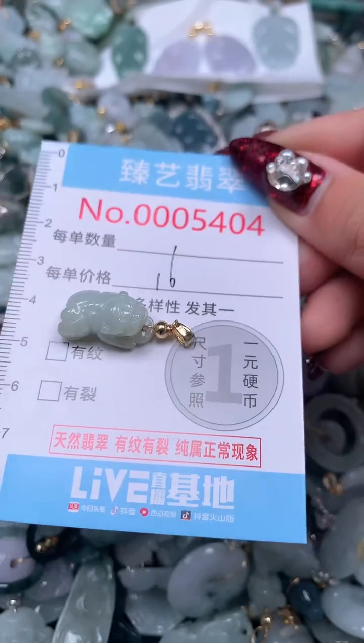 颈饰未镶嵌翡翠5404