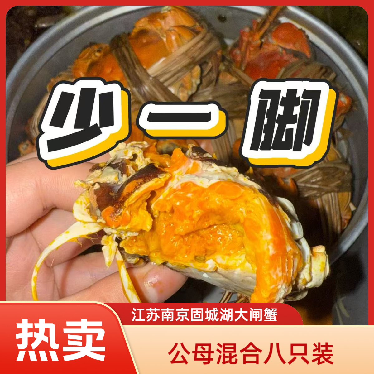 【活蟹】大闸蟹公母蟹 3两+/2两+ 八只组装