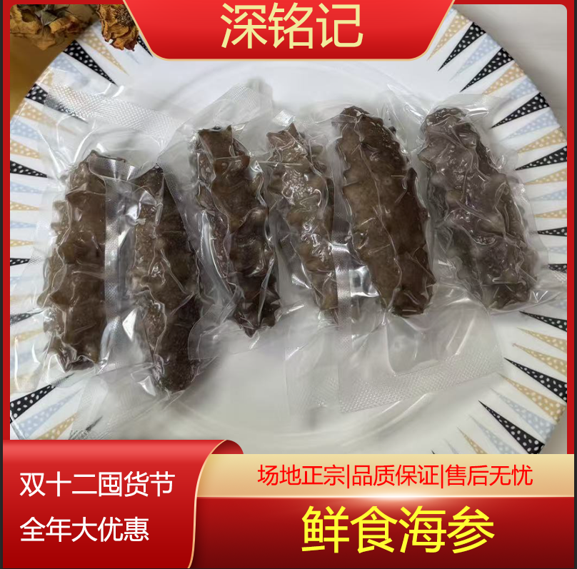深铭记 精选鲜食海参15头小头 肉质紧实 口感Q弹