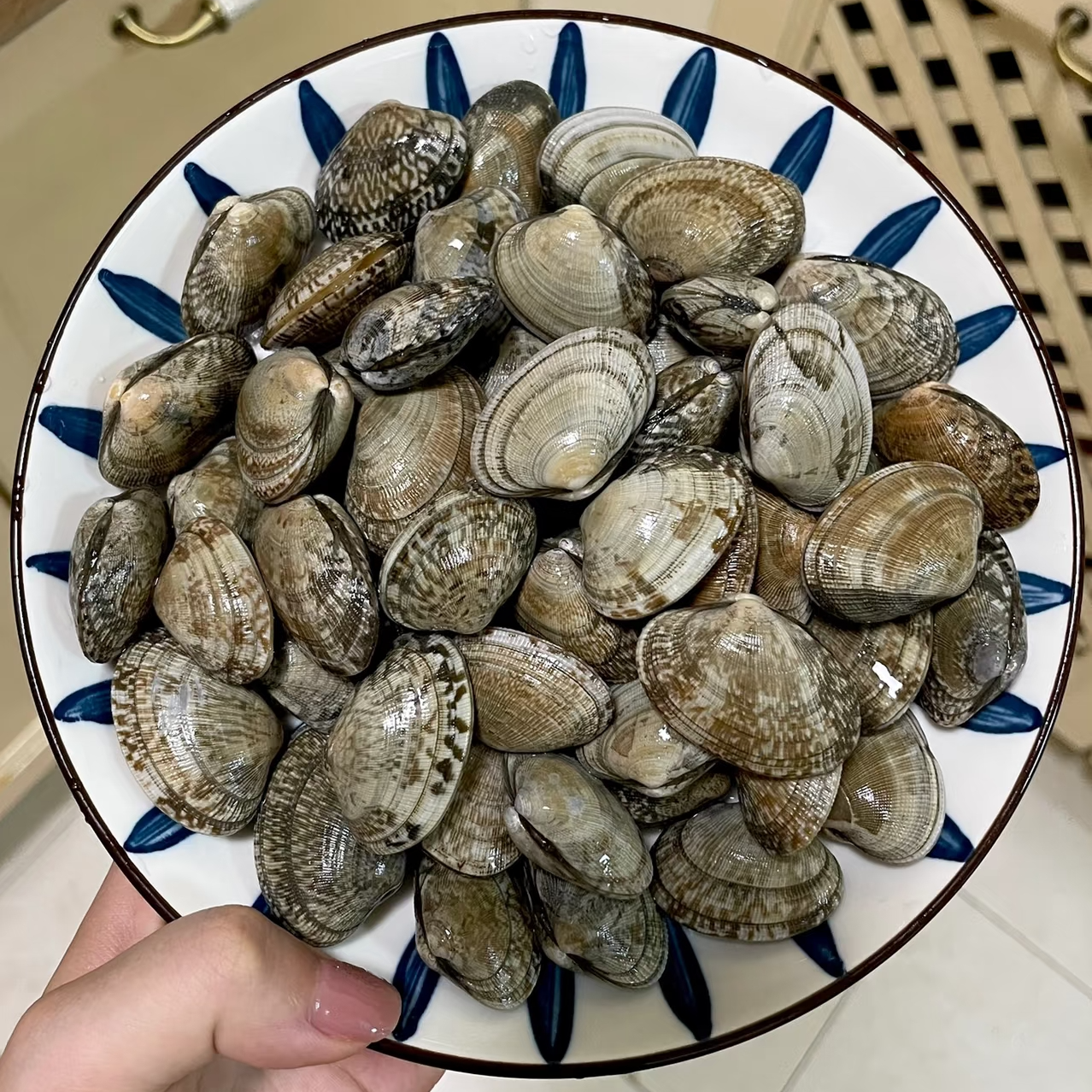 码头鲜活大花蛤500g/份