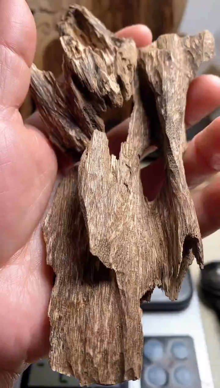 【闪购商品】沉香手把件海南沉香虫漏料24克