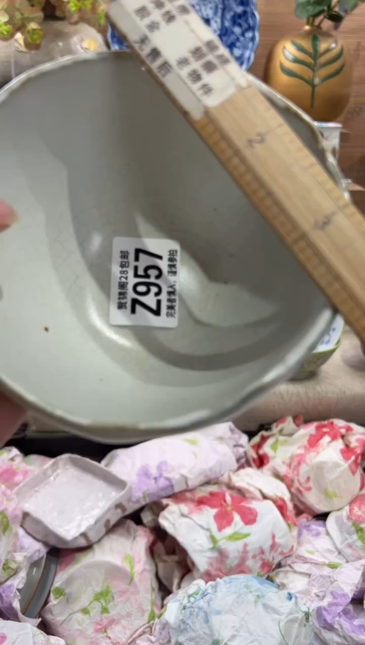 瓷片朵**妈       Z957