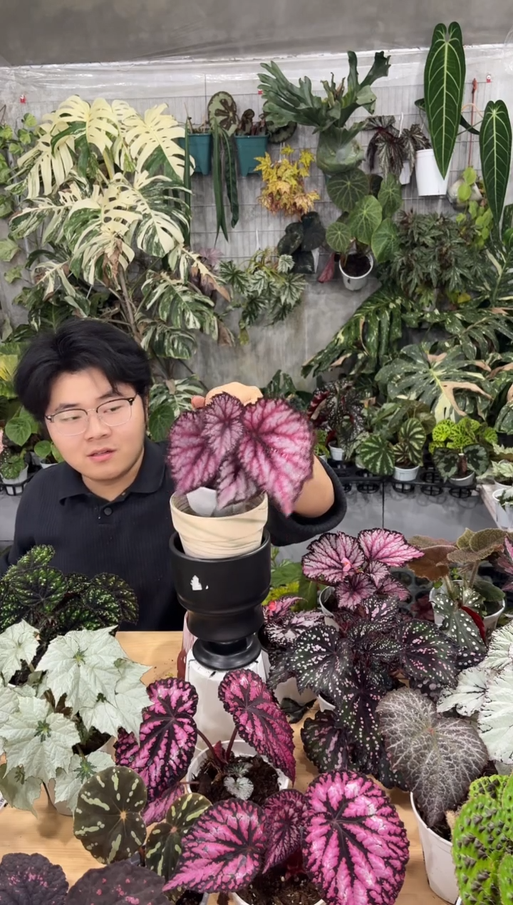 完全开放泡泡群1