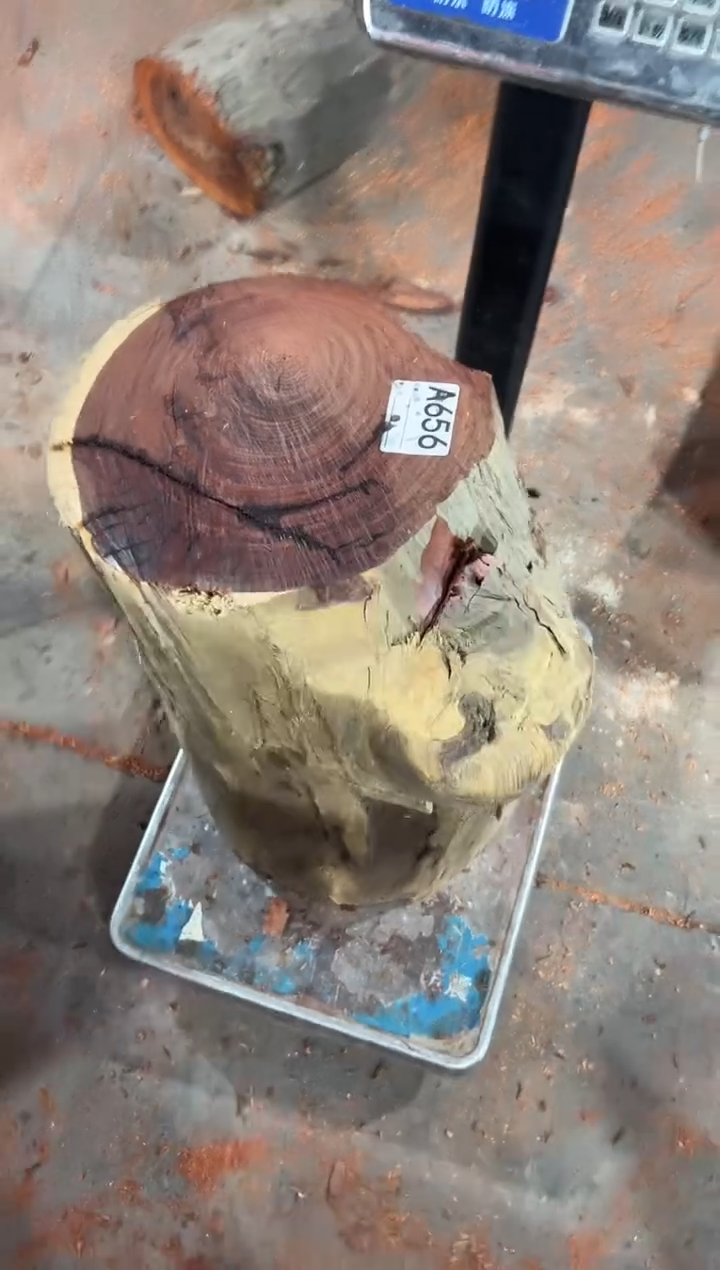 紫檀木类端景台山**间赞比亚血檀 非洲紫檀