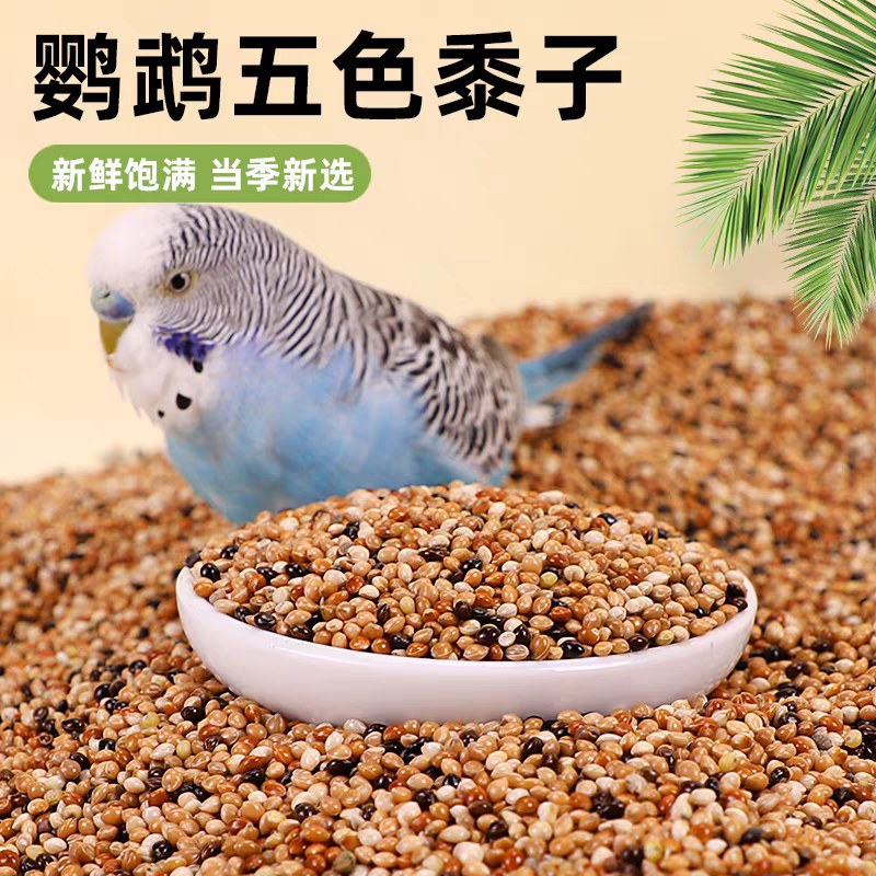小型鹦鹉鸟粮混合饲料小太阳玄凤虎皮鸟食专用粮食五色黍子谷子