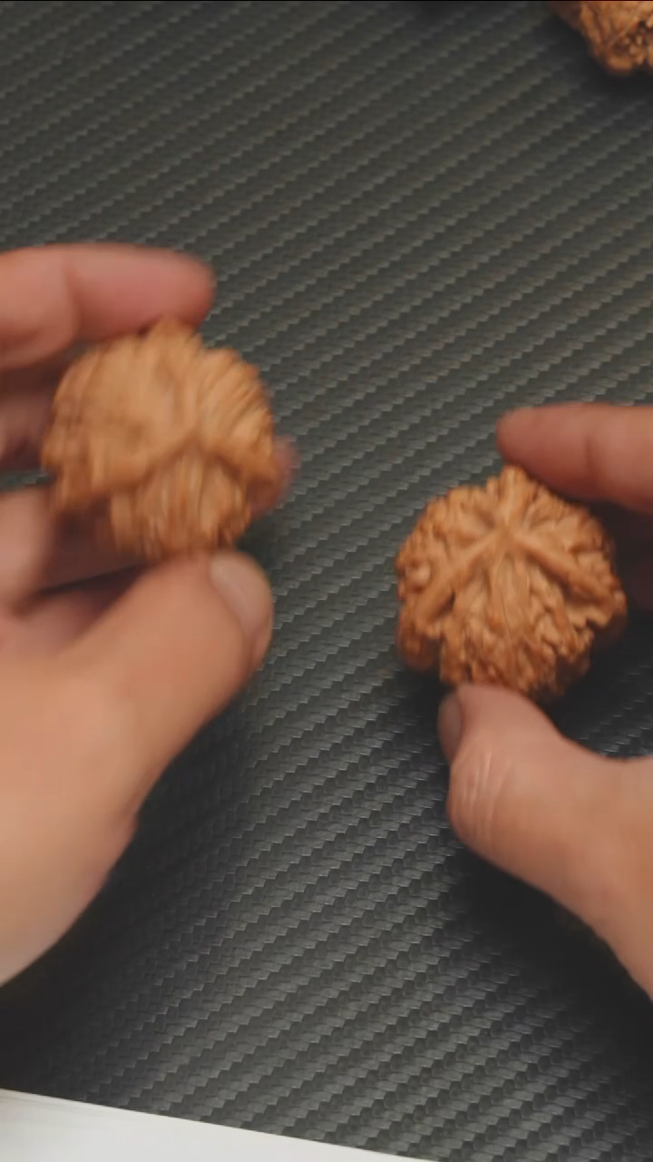 精品御龙粗筋全品39