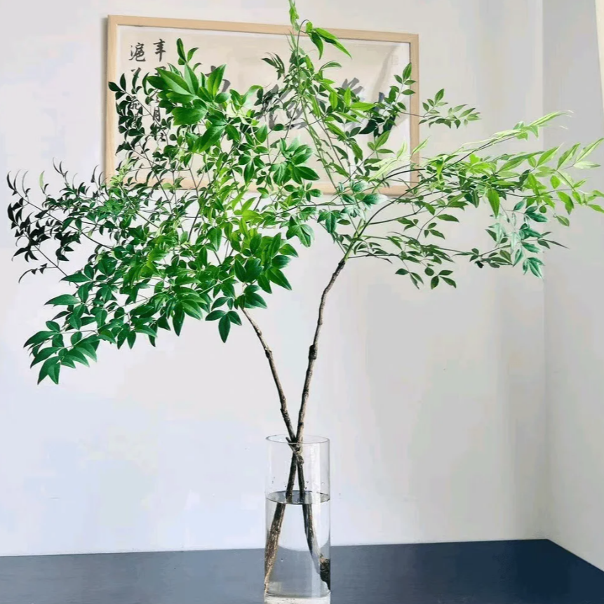 【拾花拾木】南天竹花瓶鲜花云南花瓶鲜花