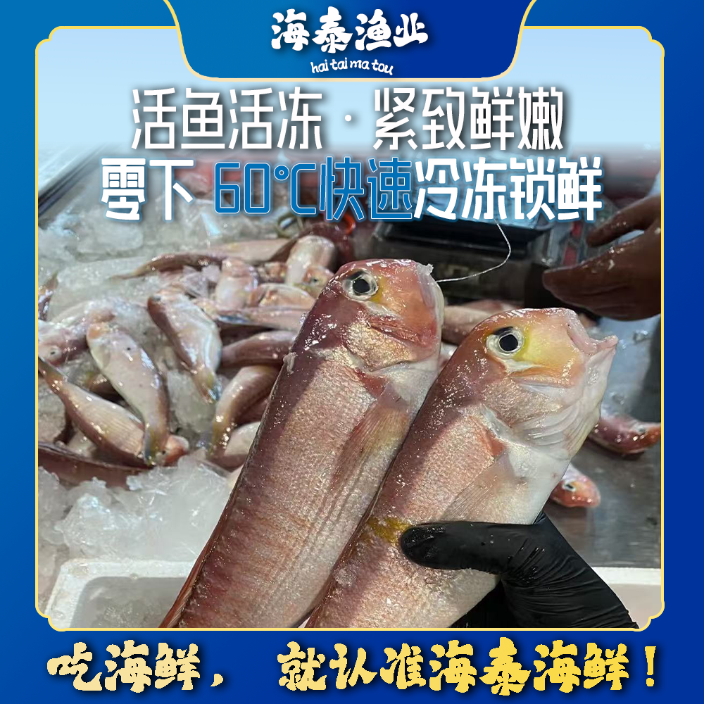 【阿曼专属】【码头鱼】野生鱼鲜活速冻 深海捕捞锁鲜冷链发货