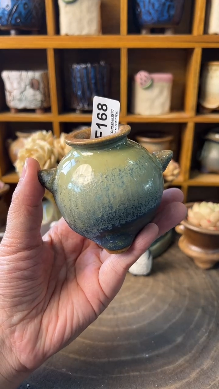 168 内口3【多肉花盆多肉盆】