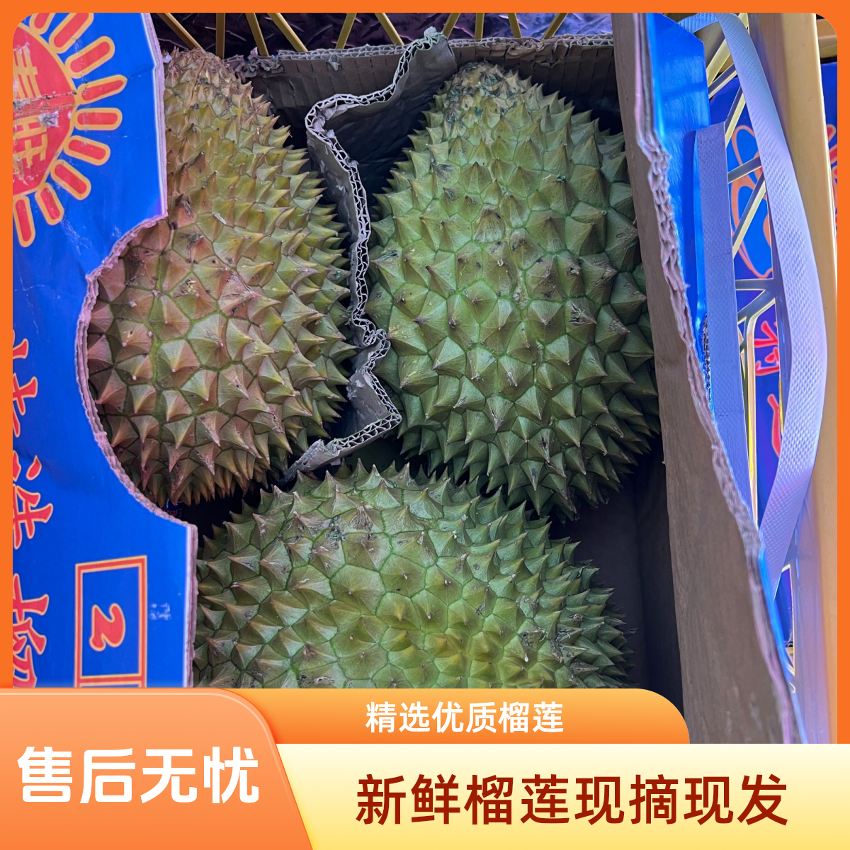 【泰旺好物】18.8元/斤 泰旺越南干尧鲜榴莲A级整果发带箱17~18斤左右3头4头随机发核大干尧越南社会主义共和国