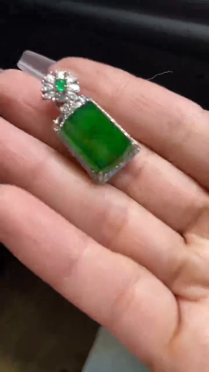 【闪购商品】翡翠颈饰未镶嵌      *221