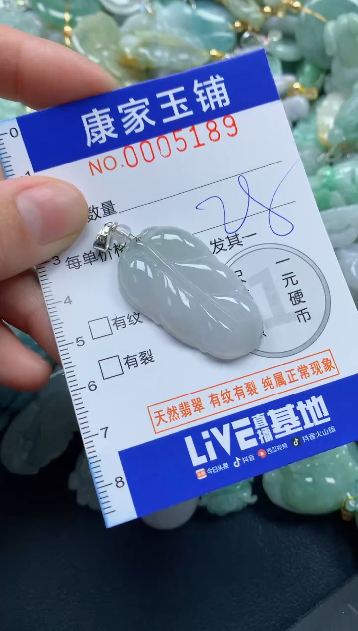 颈饰未镶嵌翡翠5189