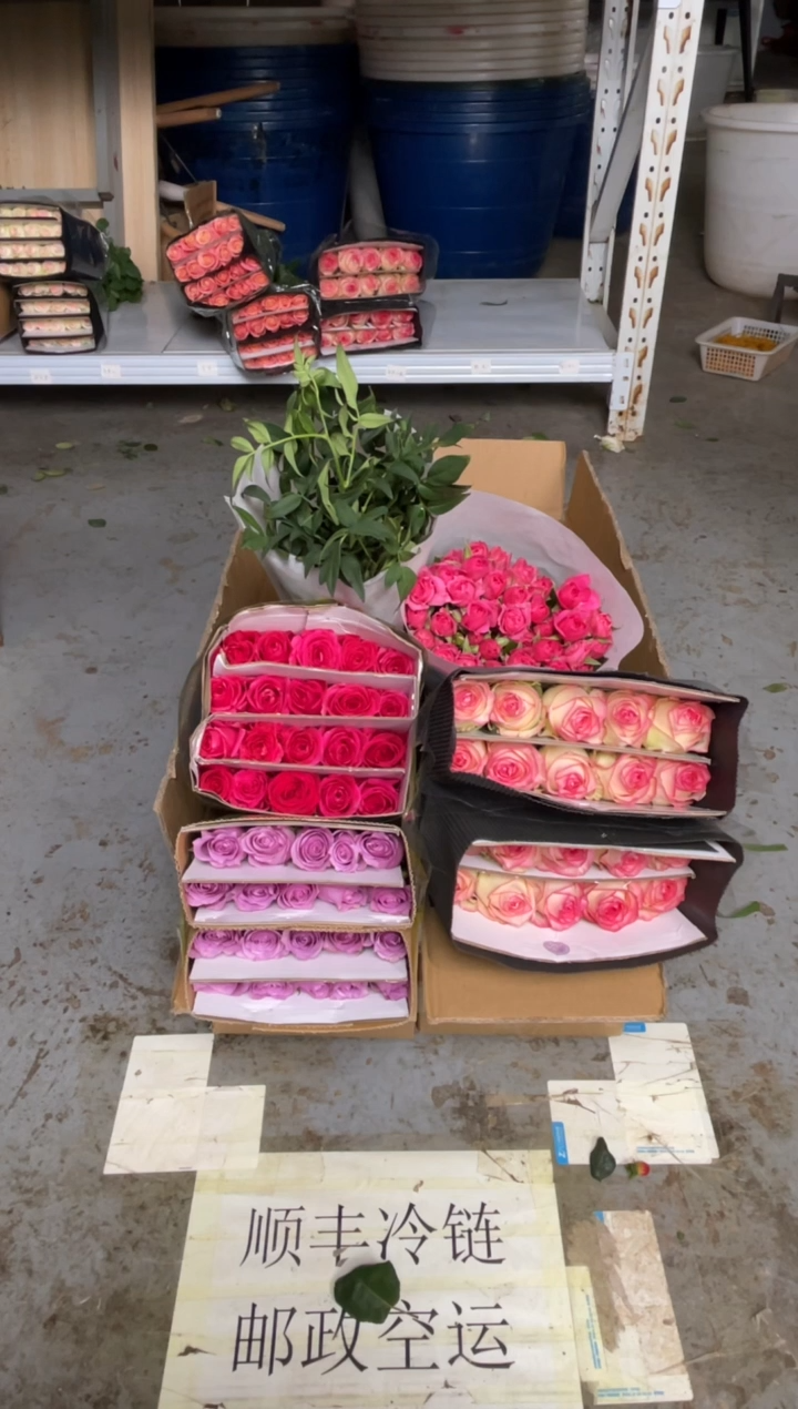 艾沙20枝+佛洛依德20枝+紫霞20枝+苏菲10枝+九星叶2扎