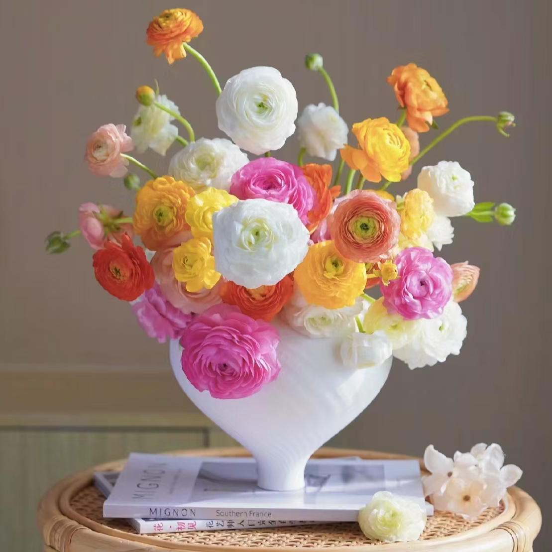 （洋牡丹）东北鲜花顺丰包邮卧室鲜花新鲜实物养护插瓶