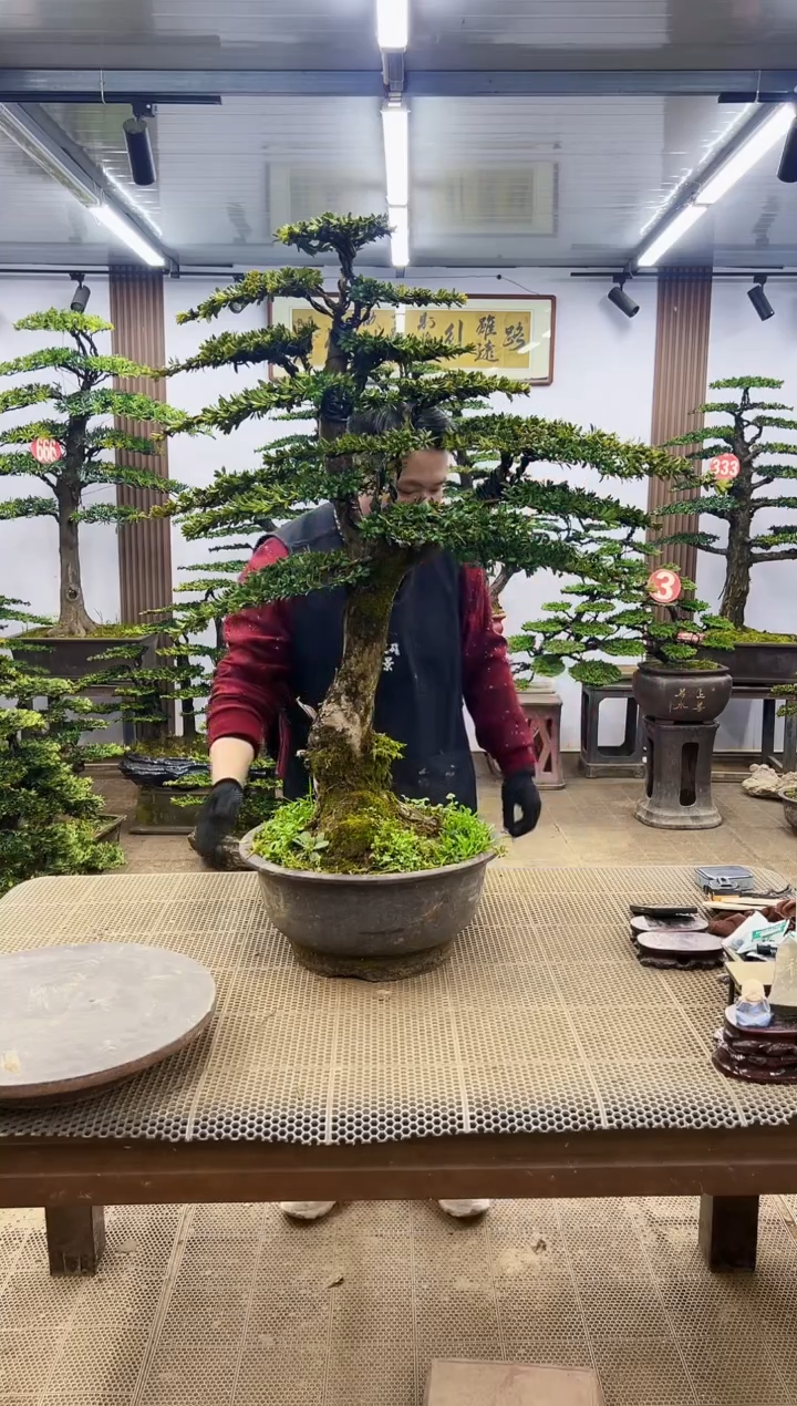 【闪购商品】000000000