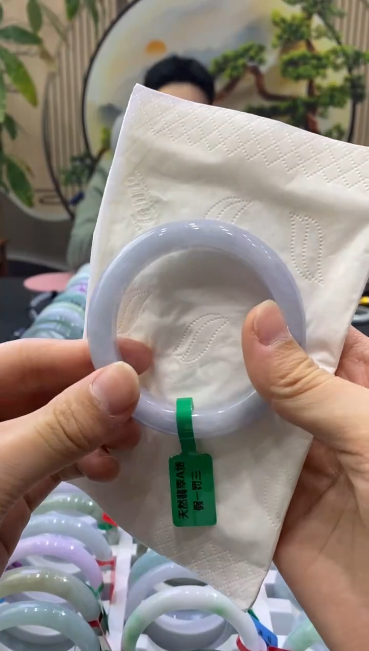 未镶嵌手镯翡翠8583