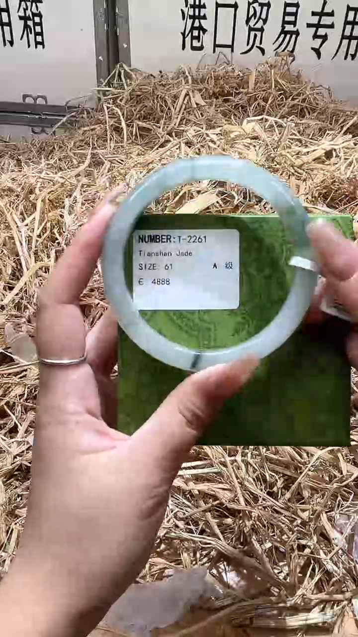 未镶嵌手镯石英质玉T2261LV