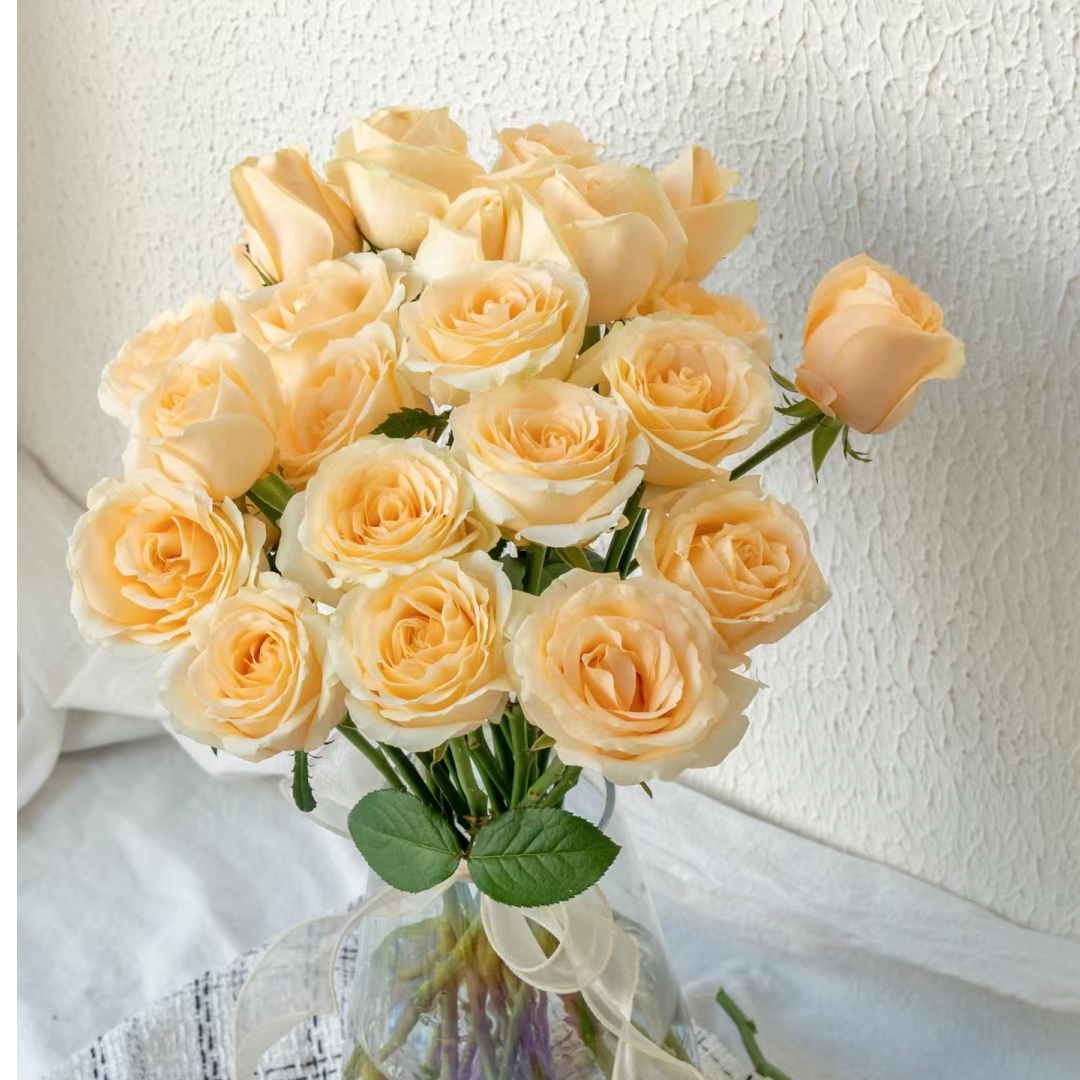 【经典香槟玫瑰】拍二单发顺丰/京东 家用鲜花直播间现场直播卖花