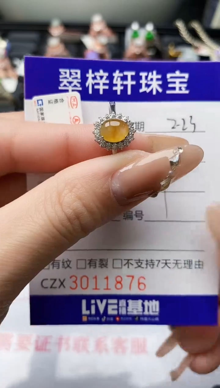 【闪购商品】翡翠戒指银S925镶嵌/1876