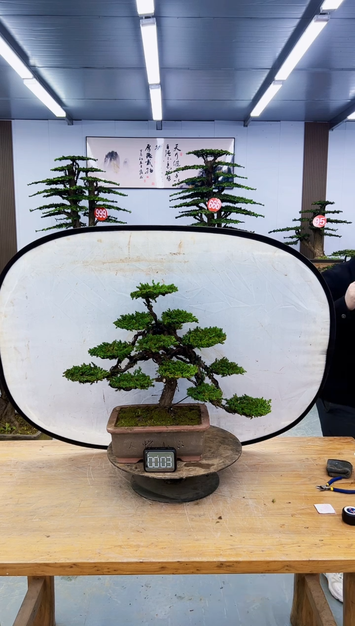 以实际为准0000000