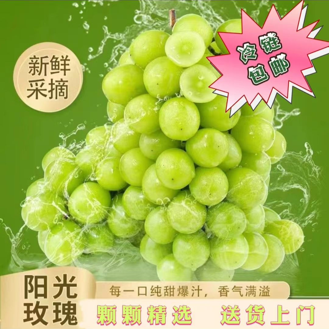 【顺丰包邮-颗颗精选】正品阳光玫瑰新鲜晴王青提当季新鲜水果云南省