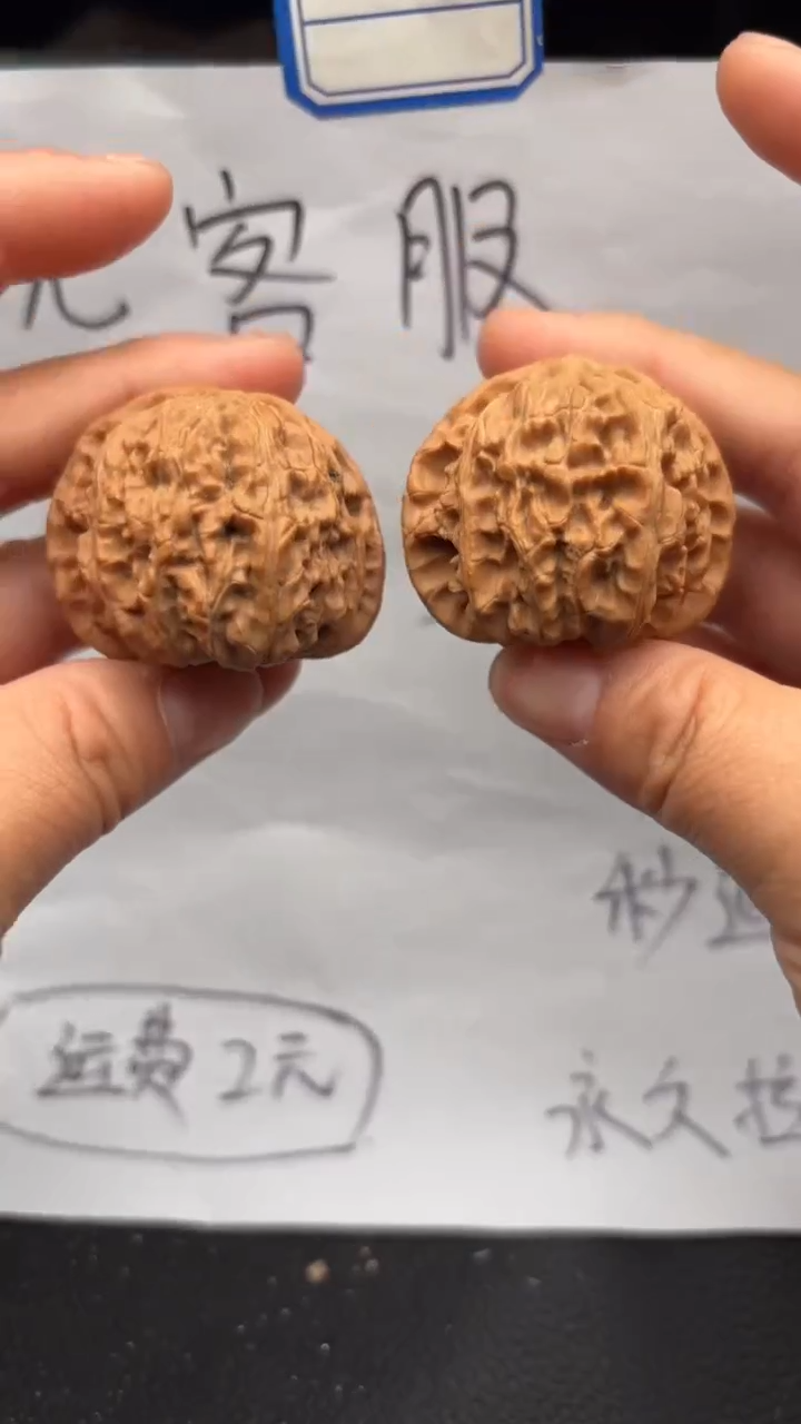 把件文玩核桃488白狮子