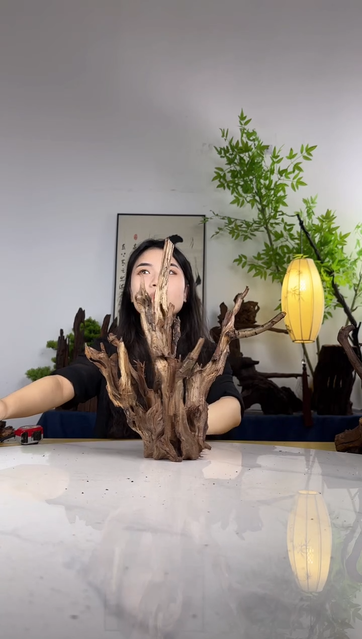 新*拍这个定向编号27