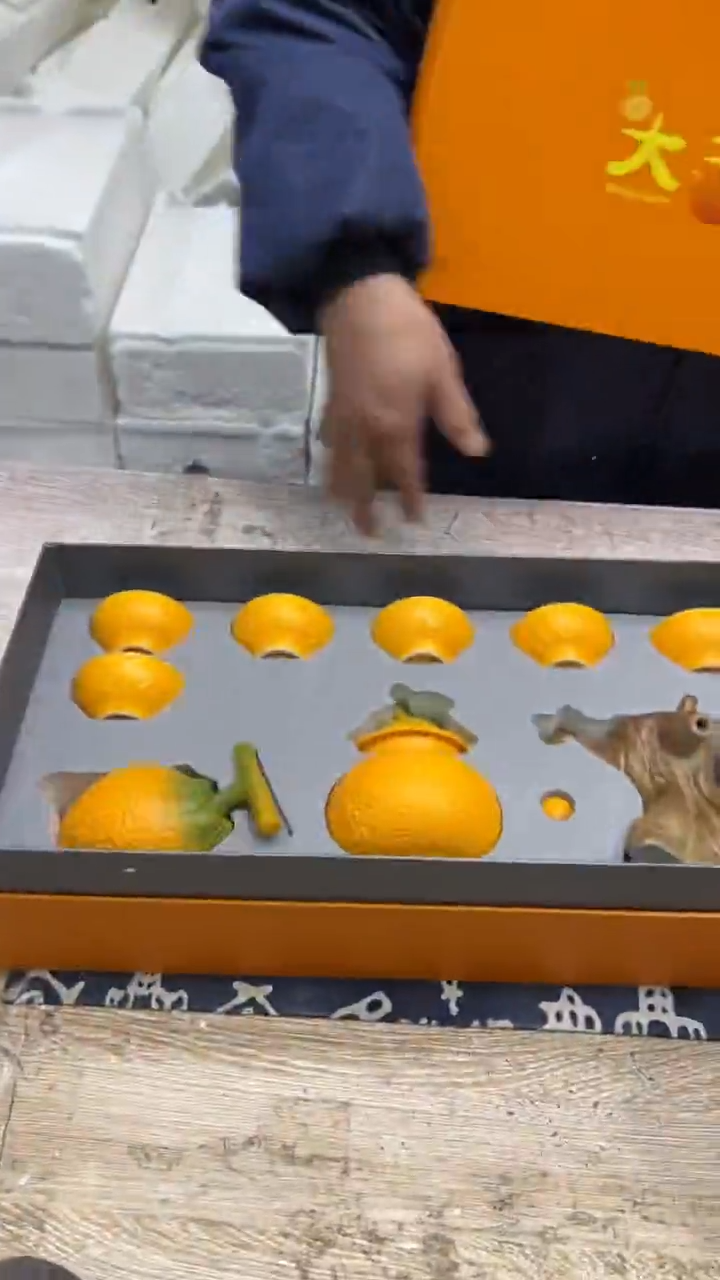 【闪购商品】其他其他其他其他其他