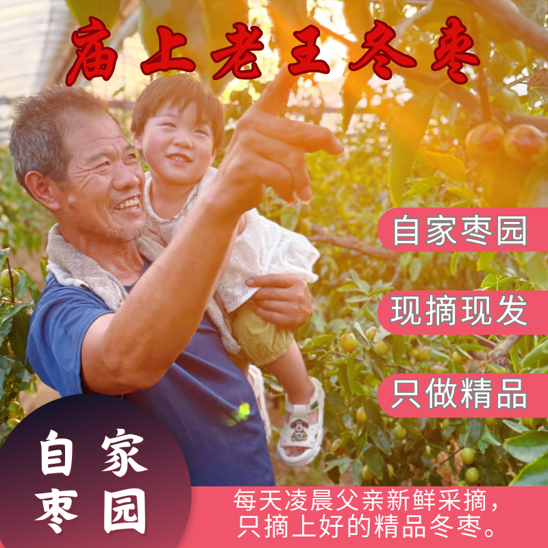 【顺丰/京东】山西庙上冰糖冬枣，自家现摘现发皮薄肉脆水果应季水果