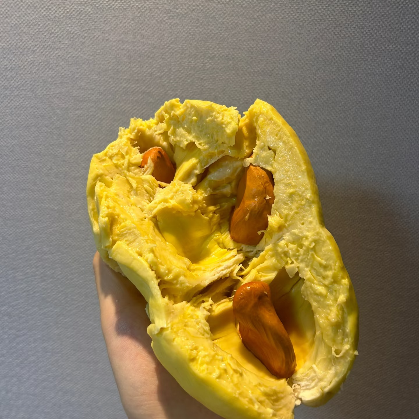 【草帽榴莲】【一物一拍】新鲜树熟金枕榴莲 1-10斤默认开果（核小）金枕泰国