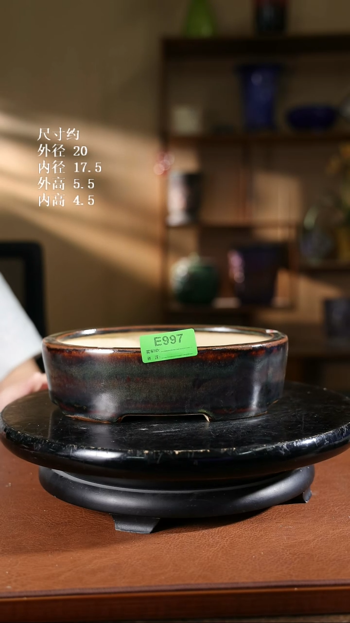 997    8寸椭圆盆