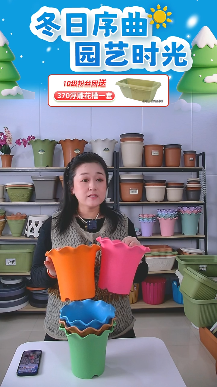 彩色荷叶边5002五个无托盘