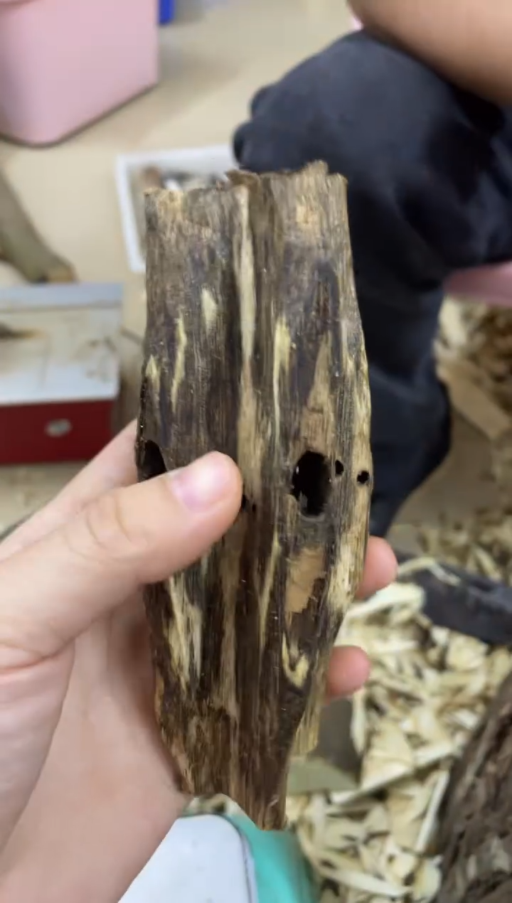 【闪购商品】沉香木沉香碎屑棋楠沉香 原料文创1