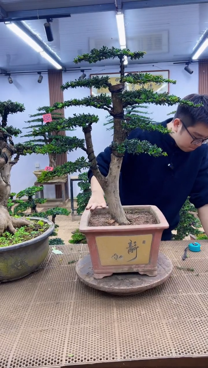 以实际为准用****00000000000000