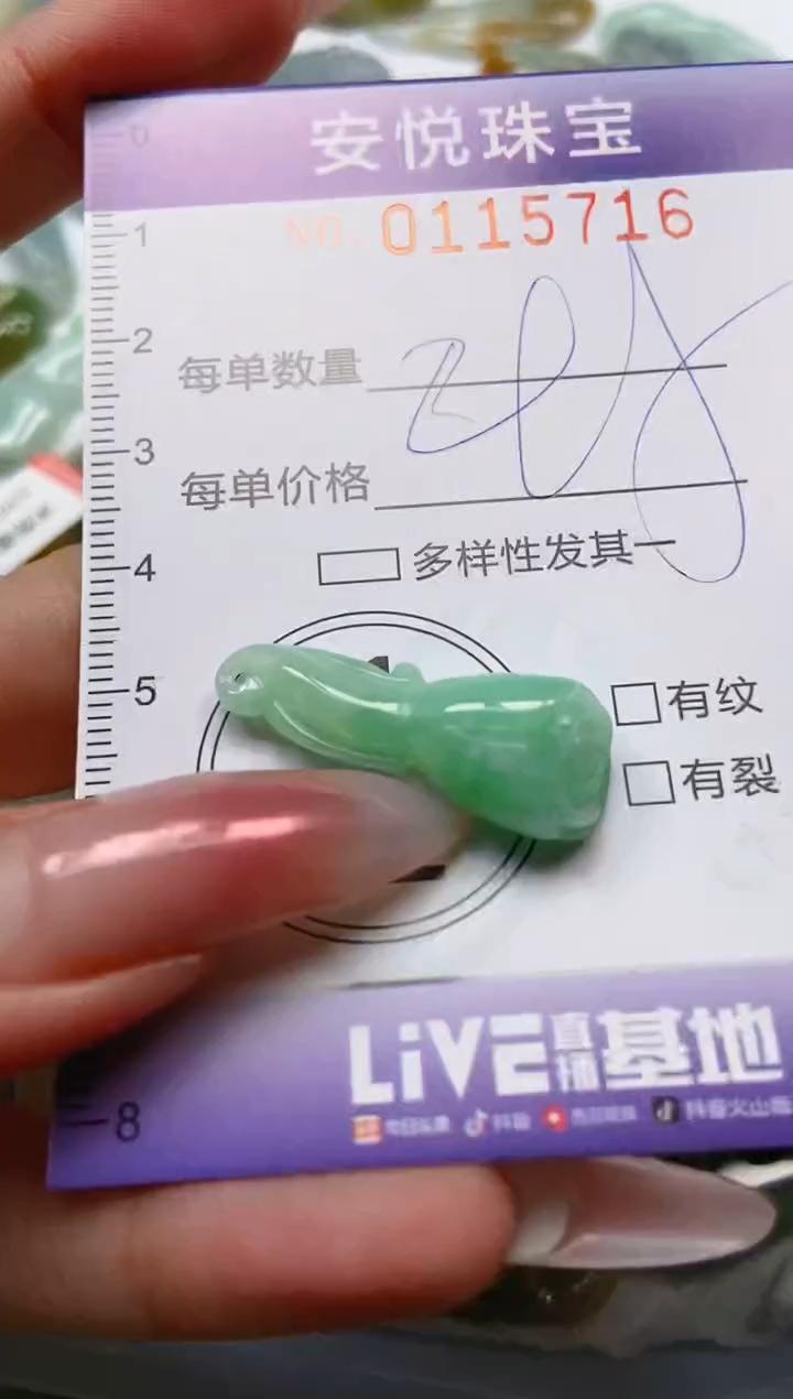 【闪购商品】翡翠颈饰未镶嵌闪购0115716