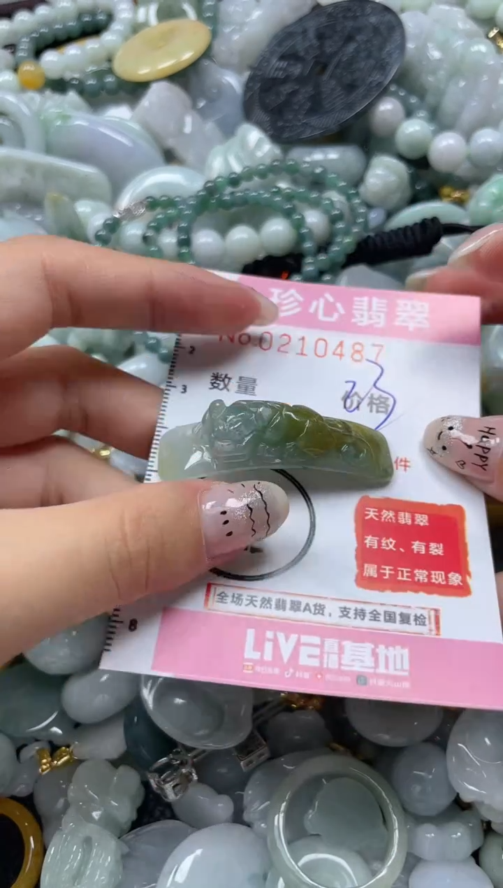 翡翠未镶嵌颈饰闪购0210487