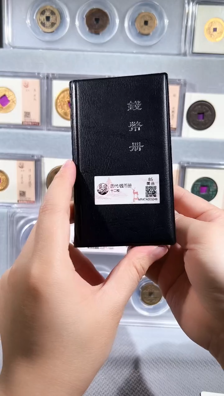 铜带评级 历代 钱币册 共12枚