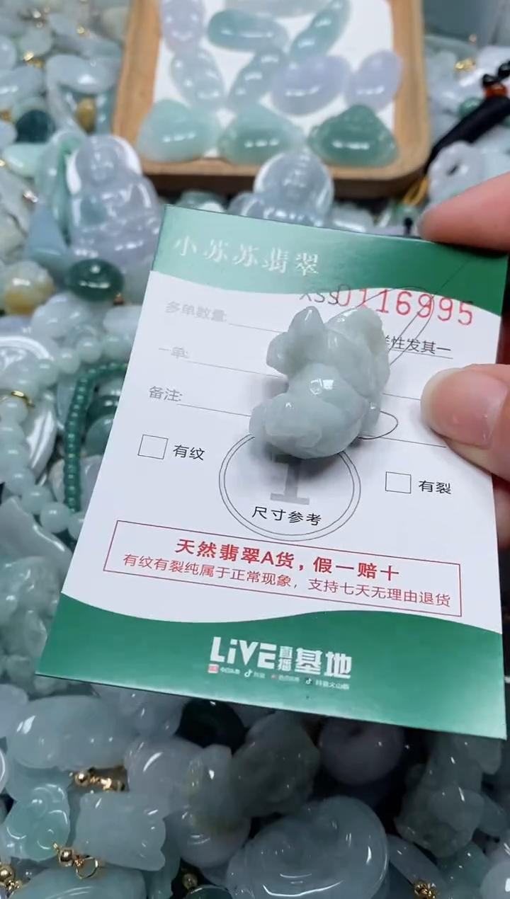 【闪购商品】翡翠颈饰未镶嵌闪购商品0116995