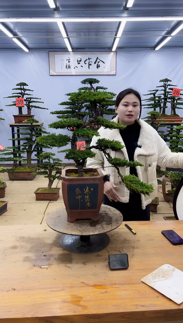 【闪购商品】高端盆景一物一拍，所见即所得