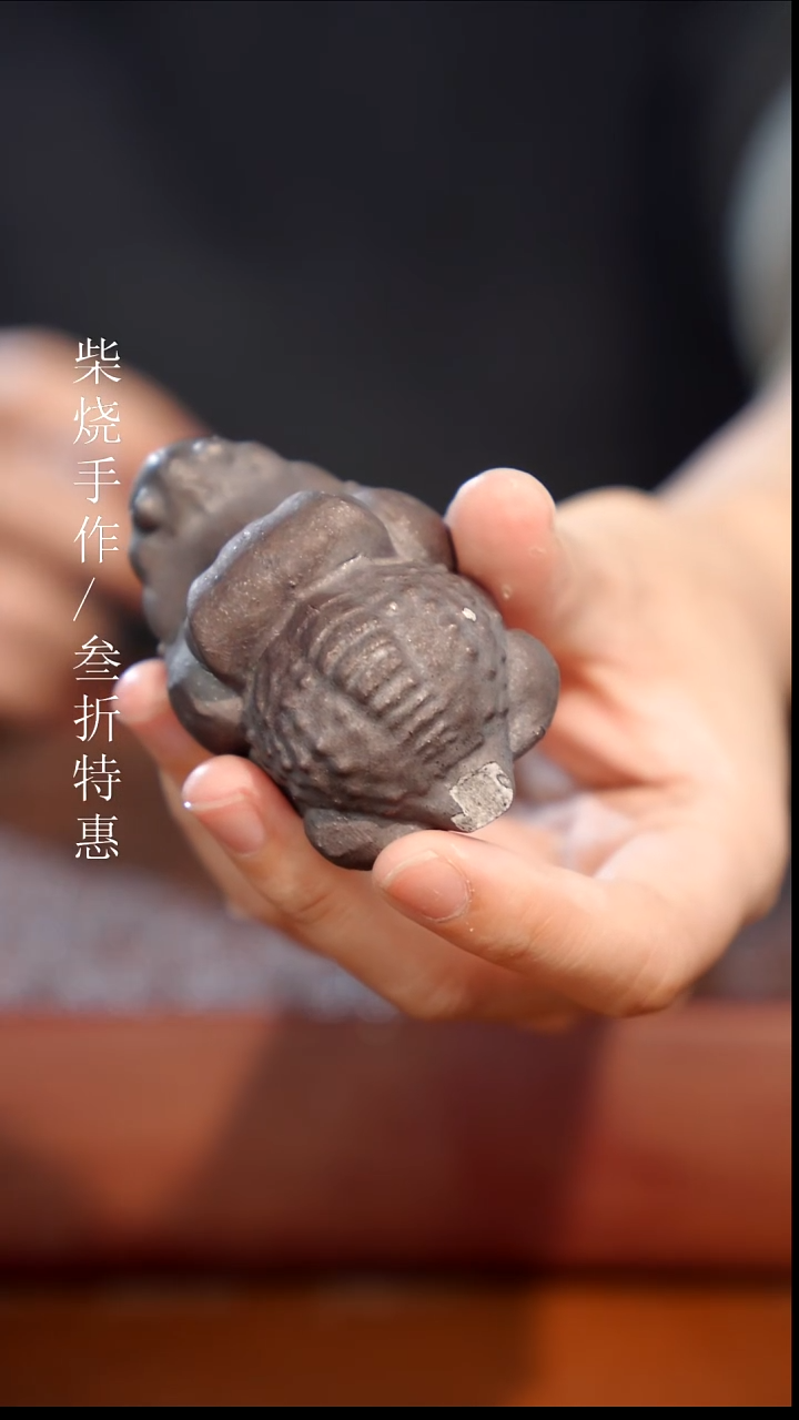 陶瓷奢瓷/瑞寅柴烧茶器（茶宠）828 瑕疵
