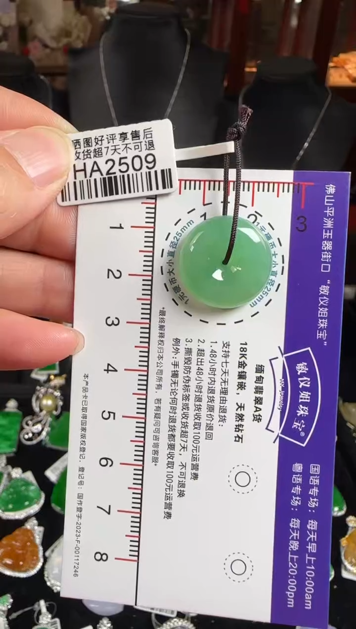 颈饰未镶嵌翡翠HA2509冰绿平安扣