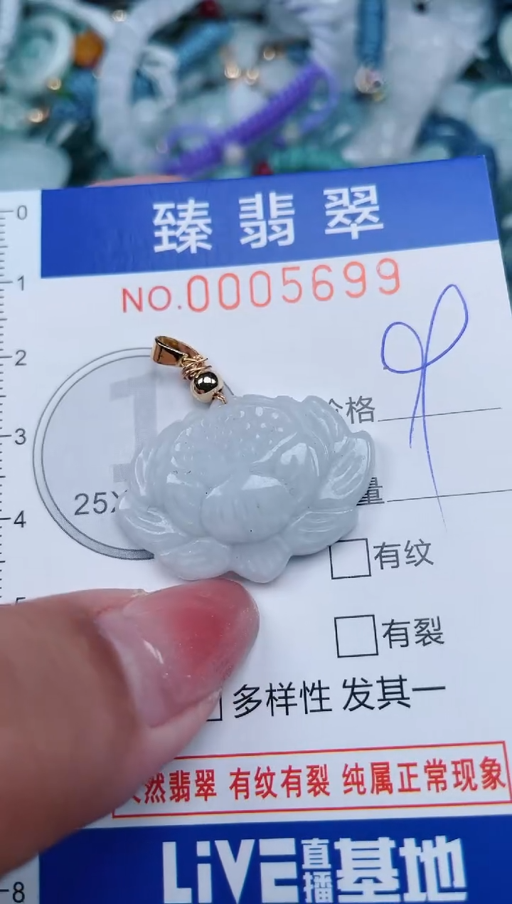 【闪购商品】翡翠颈饰未镶嵌.0005699