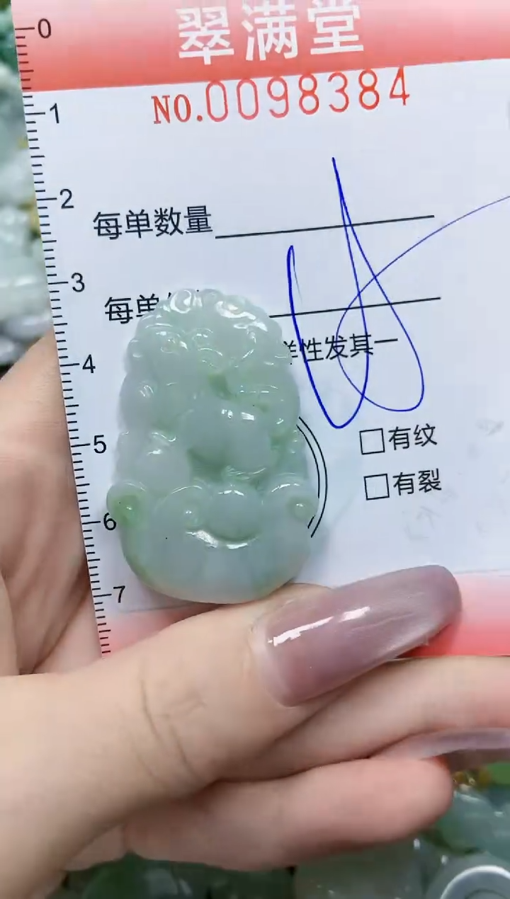 【闪购商品】翡翠颈饰未镶嵌闪购0098384