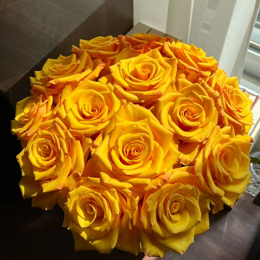 【藩篱匠人/辉煌】高品质 黄色系【单头玫瑰】  办公家养鲜切花