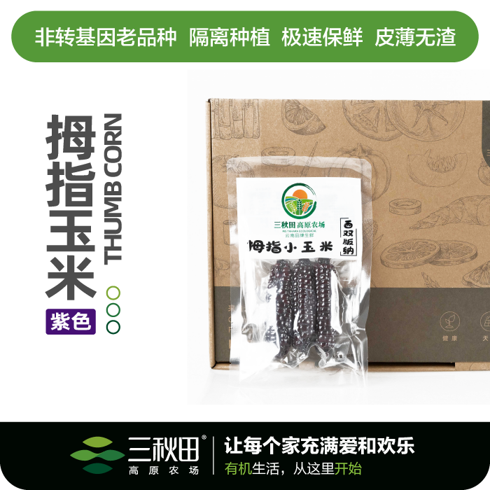 版纳拇指玉米(紫色）皮薄无渣 代餐粗粮