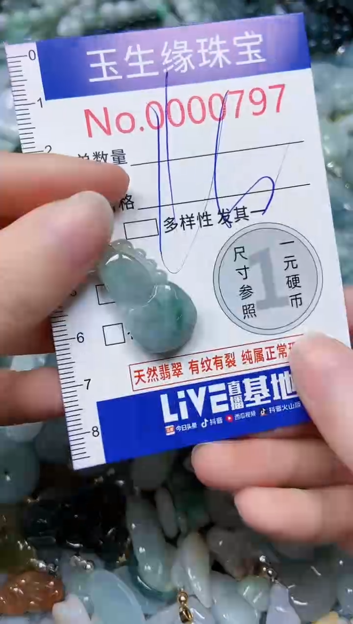 【闪购商品】翡翠颈饰未镶嵌闪购0000797