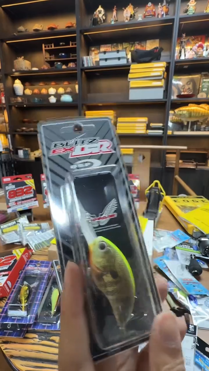OSP EX DR 1枚 随机色